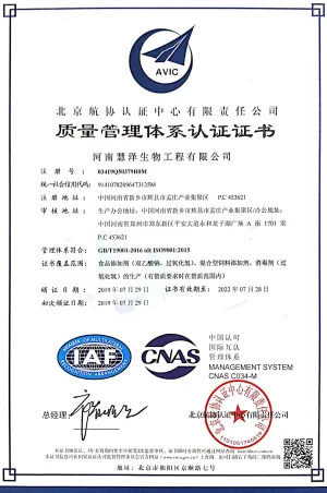 ISO9001(中文)