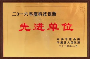 荣誉证书