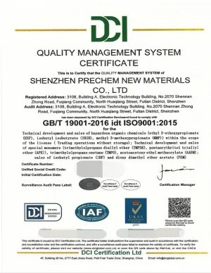 ISO9001(中文)