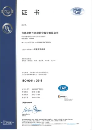 ISO9001(中文)