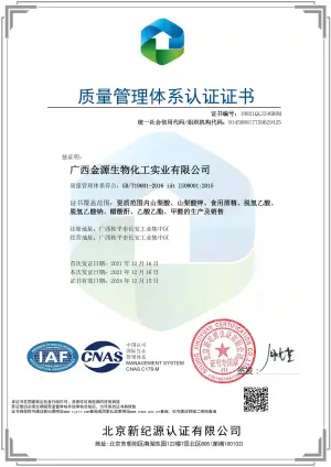 ISO9001(中文)