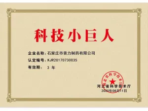 荣誉证书