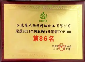 荣誉证书