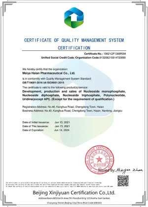 ISO9001(英文)
