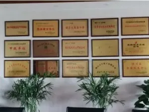 荣誉证书