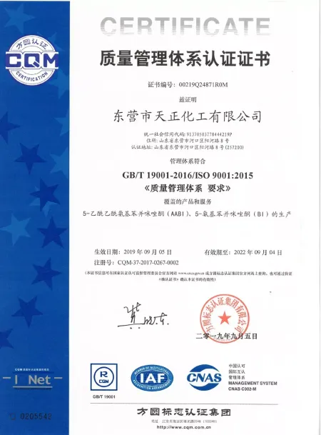 ISO9001(中文)