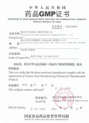 SFDA-GMP