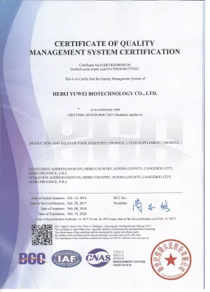 ISO9001(英文)