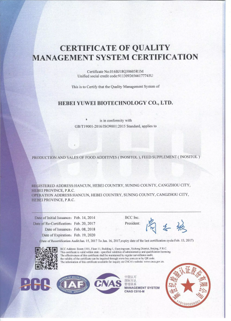 ISO9001(英文)