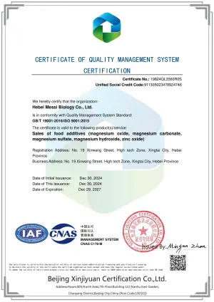 ISO9001(英文)