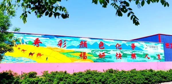 其他图片