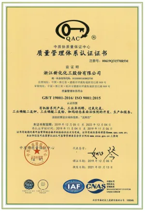 ISO9001(中文)