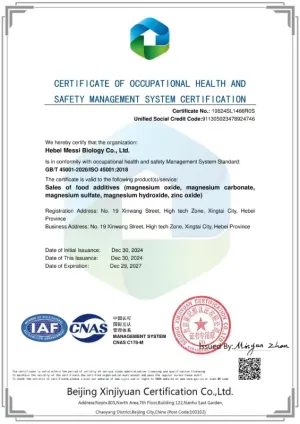 ISO45001