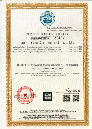 ISO9001(英文)
