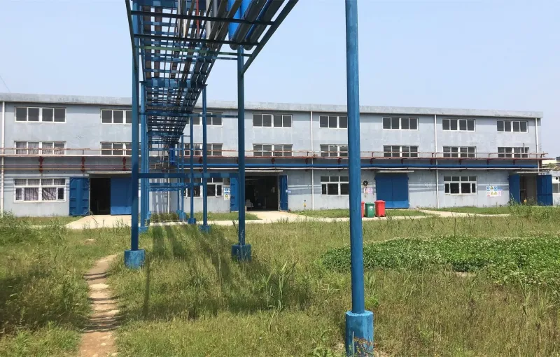 其他图片