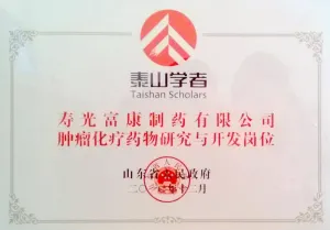 荣誉证书