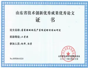 荣誉证书