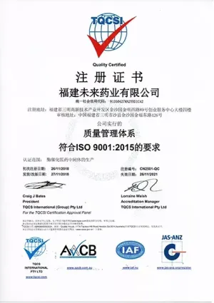 ISO9001(中文)