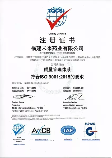 ISO9001(中文)