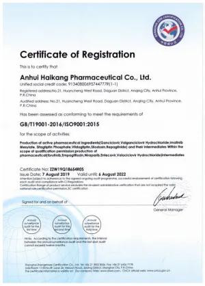 ISO9001(英文)