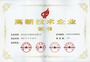 荣誉证书