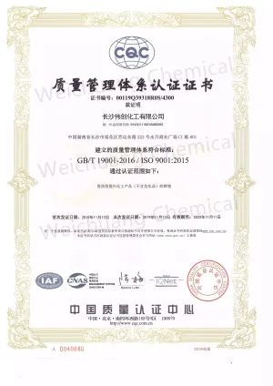 ISO9001(中文)