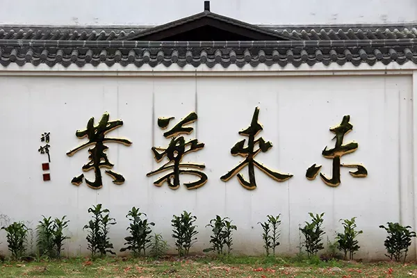 其他图片