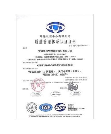 ISO9001(中文)
