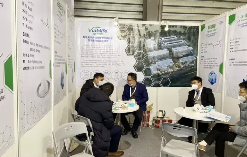 公司参展