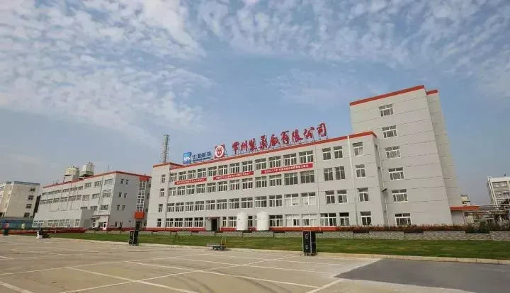 办公区域