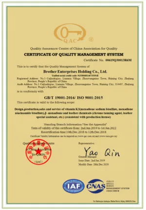 ISO9001(英文)