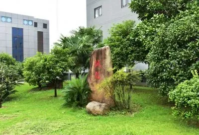 办公区域