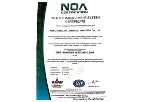ISO9001(英文)