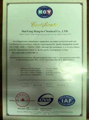 ISO9001(英文)