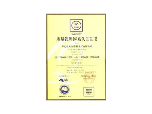 ISO9001(中文)