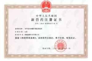 其他证书