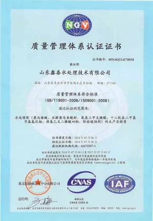 ISO9001(中文)