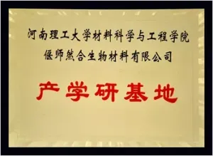 荣誉证书