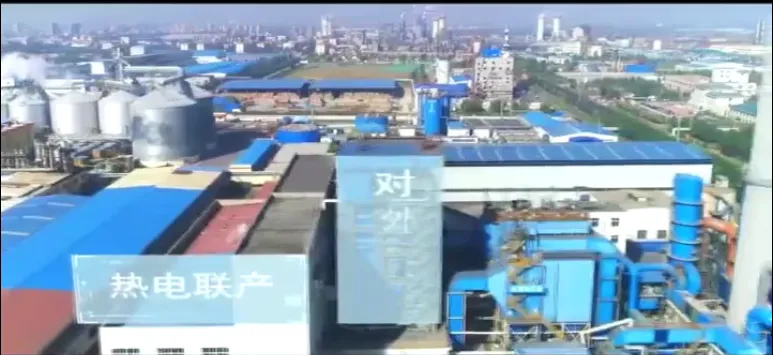 办公区域