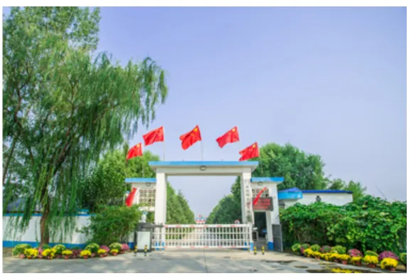 其他图片