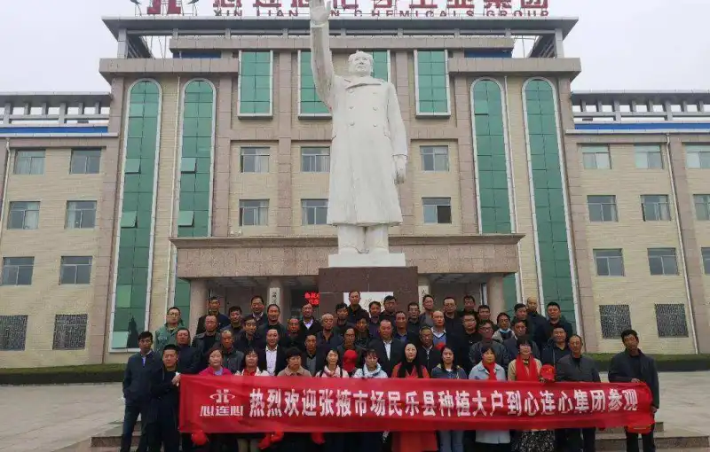 公司活动