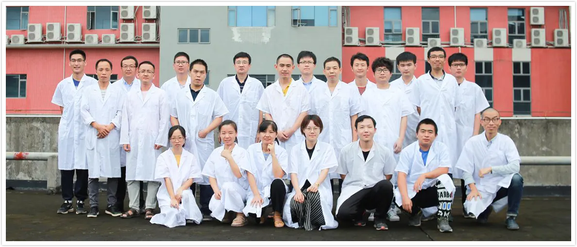 公司活动