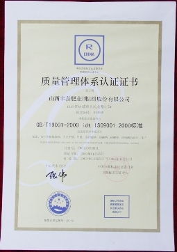 ISO9001(中文)