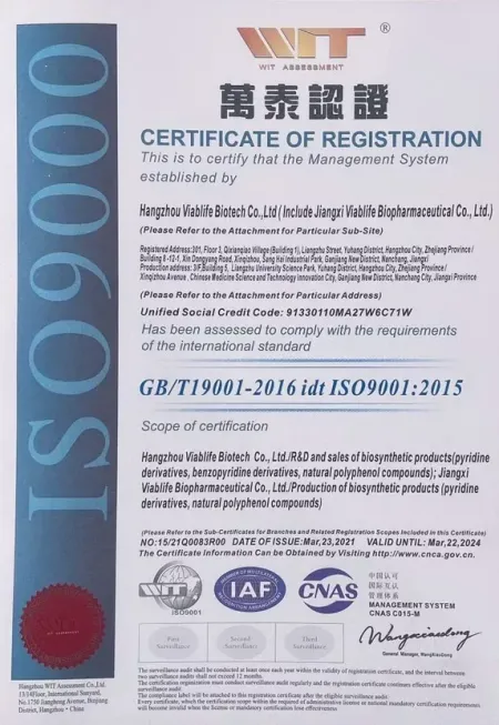 ISO9001(英文)