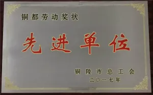 其他证书