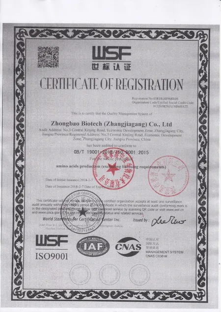 ISO9001(英文)