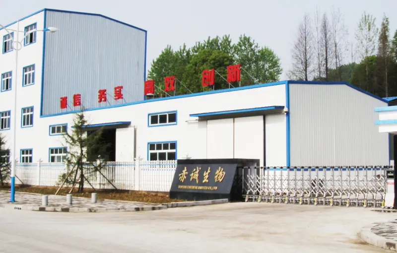 厂房大门
