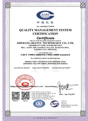 ISO9001(英文)