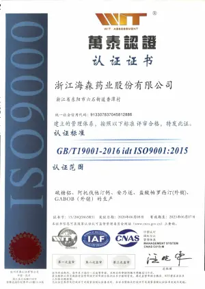 ISO9001(中文)
