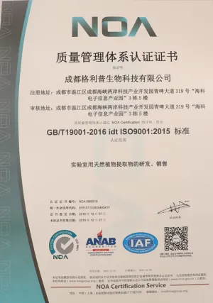 ISO9001(中文)
